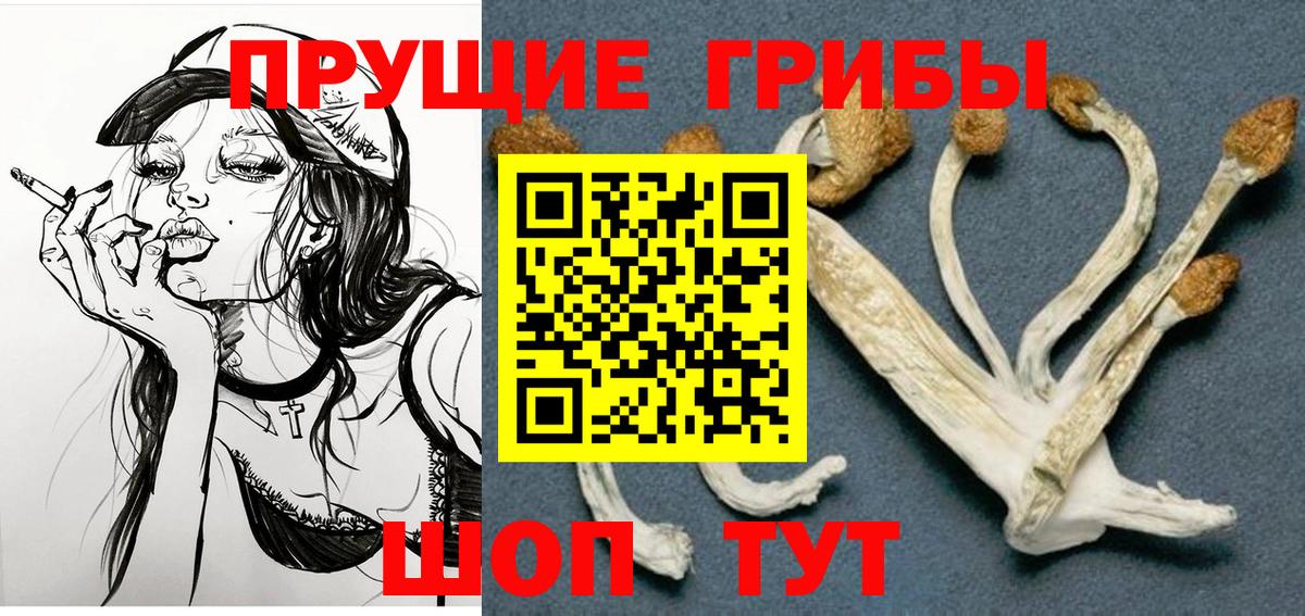 Галлюциногенные грибы Psilocybe  Вход с VPN  Тобольск 