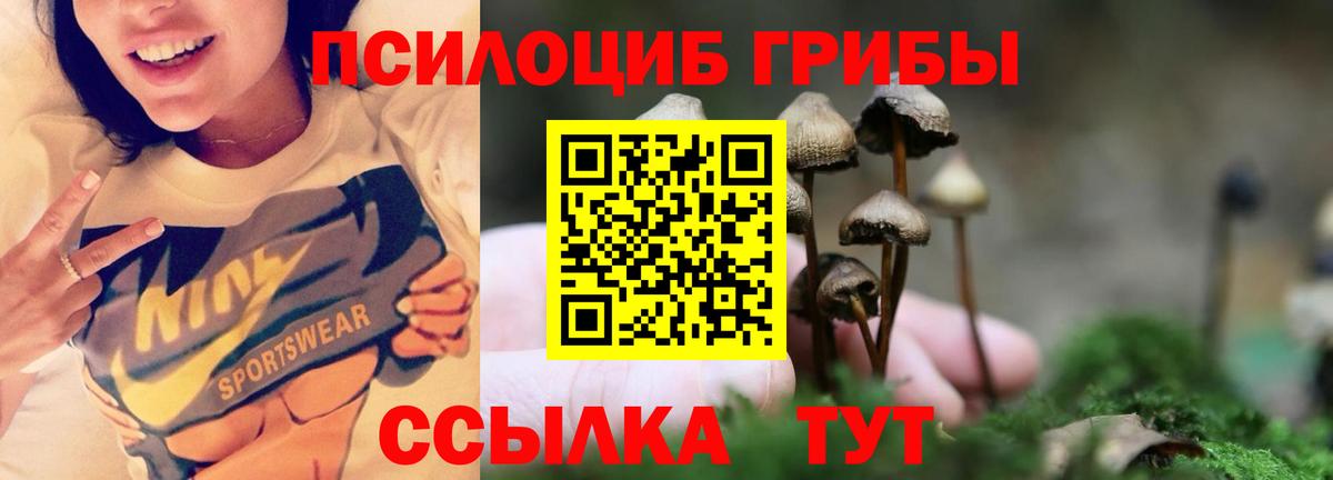 Галлюциногенные грибы мухоморы Тобольск